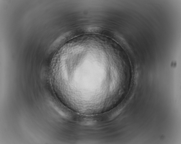 X0000113240161200909241555