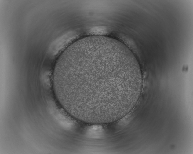 X0000113240162200909241555