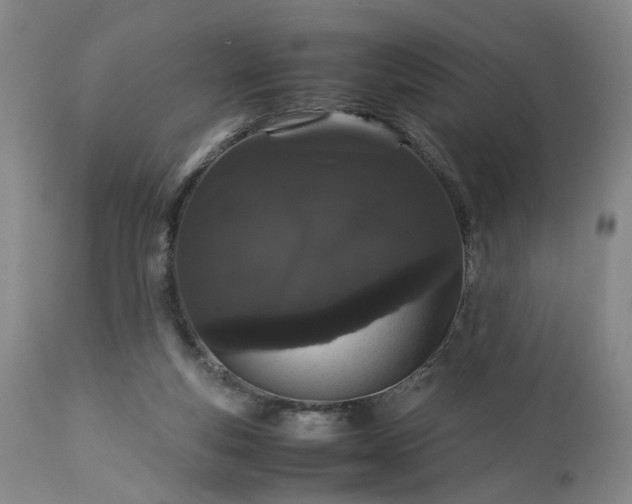 X0000113240163200909241555