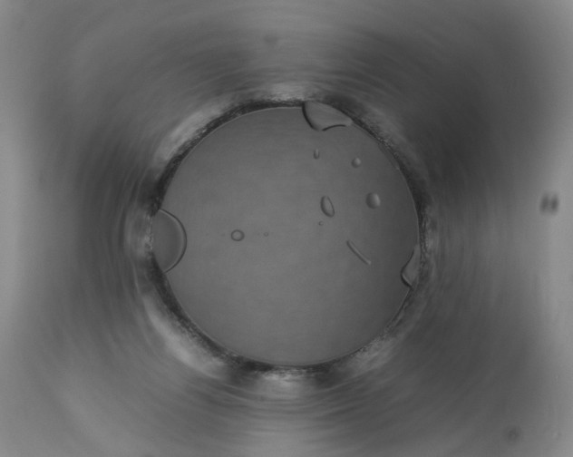 X0000113240164200909241555