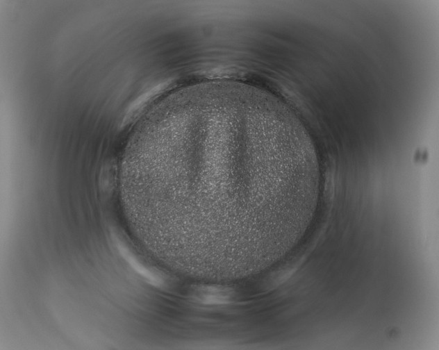 X0000113240165200909241555