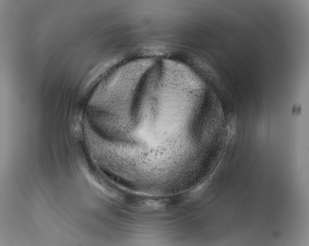 X0000113240166200909241555