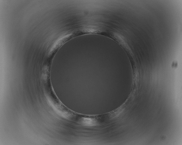 X0000113240167200909241555