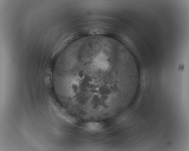 X0000113240169200909241555