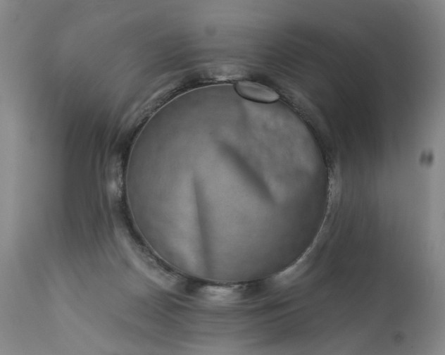 X0000113240170200909241555