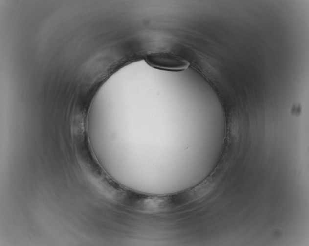 X0000113240172200909241555