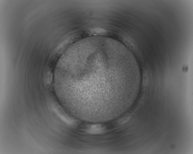 X0000113240173200909241555