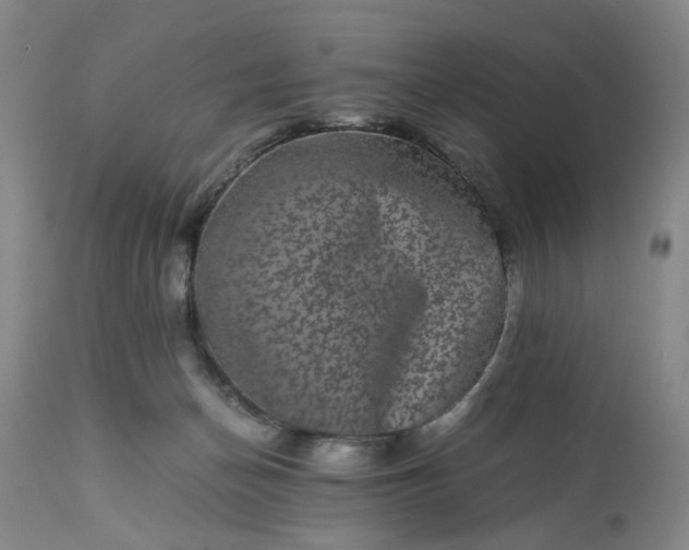 X0000113240174200909241555