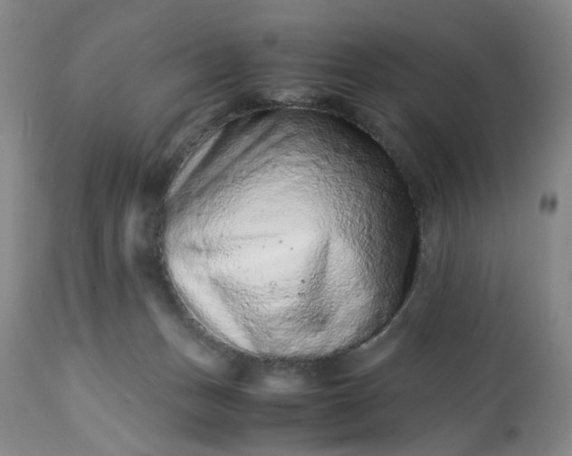 X0000113240175200909241555