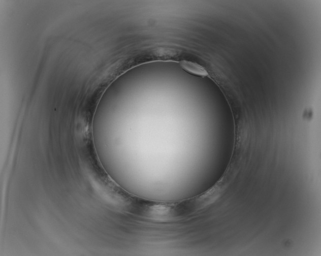 X0000113240176200909241555