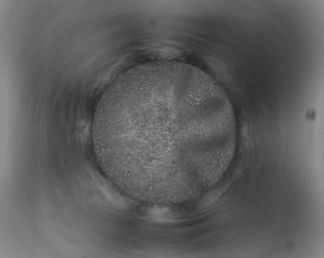 X0000113240177200909241555