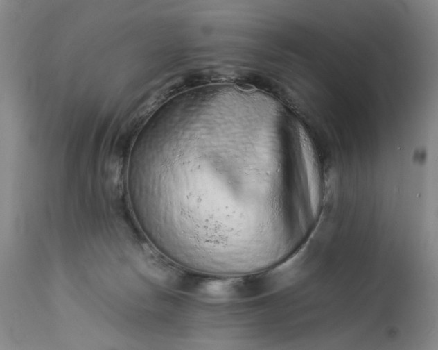 X0000113240178200909241555