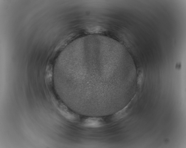 X0000113240179200909241555