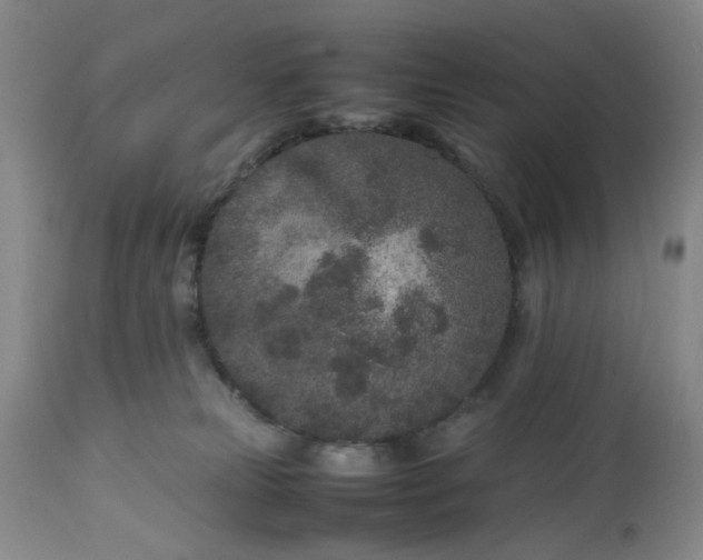 X0000113240181200909241555