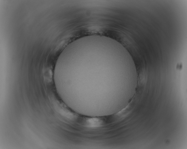 X0000113240183200909241555