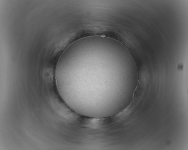 X0000113240184200909241555