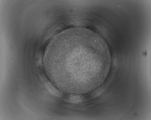 X0000113240185200909241555