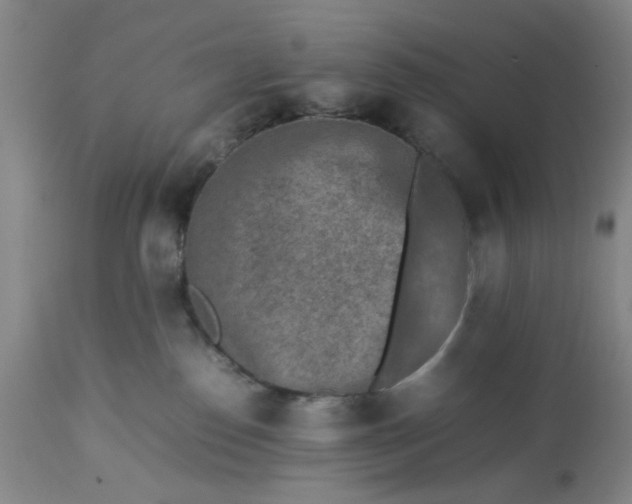 X0000113240186200909241555