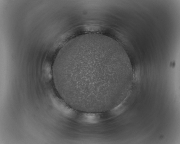 X0000113240187200909241555