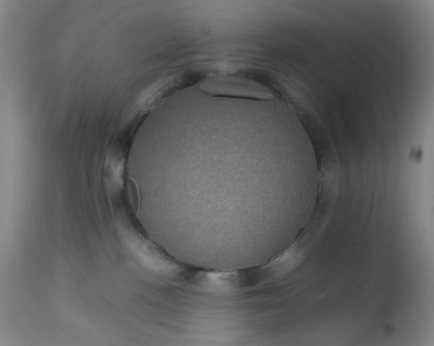 X0000113240188200909241555