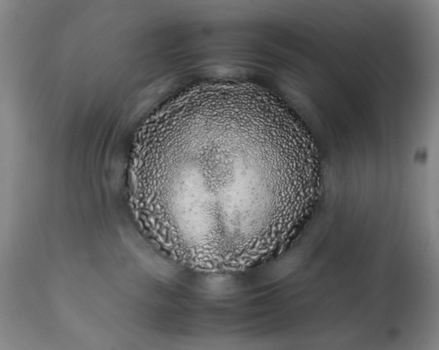 X0000113240189200909241555