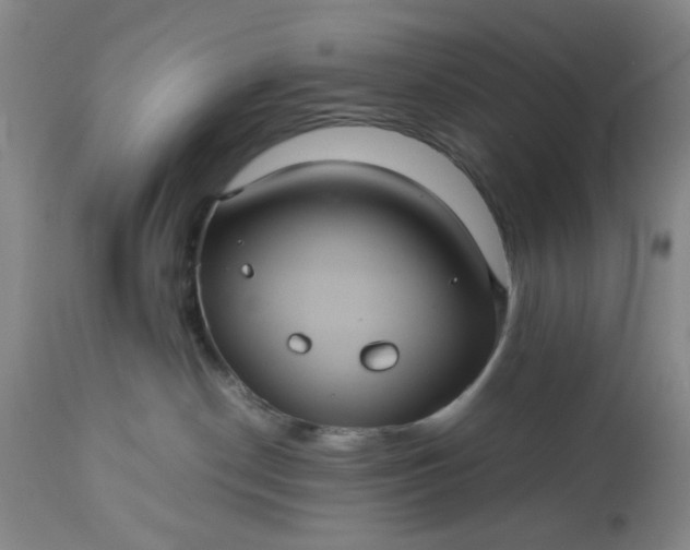 X0000113240190200909241555