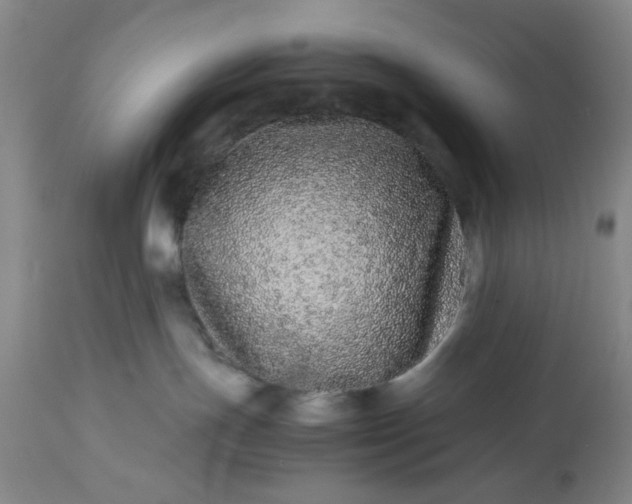 X0000113240191200909241555