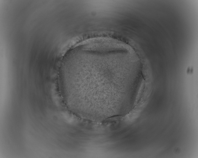 X0000113240192200909241555