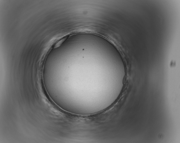 X0000113240193200909241554