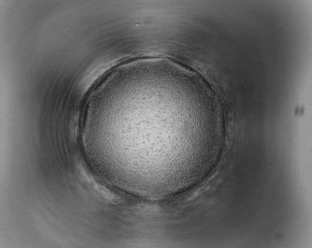 X0000113240194200909241554