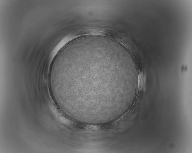 X0000113240195200909241554