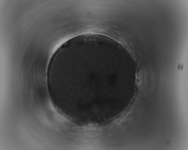 X0000113240196200909241554