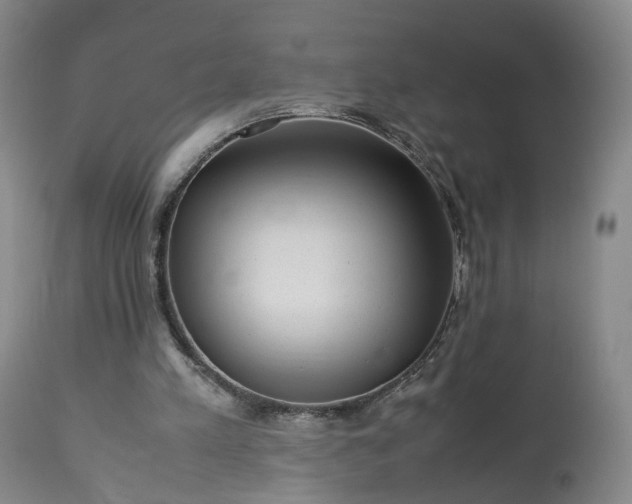 X0000113240197200909241554