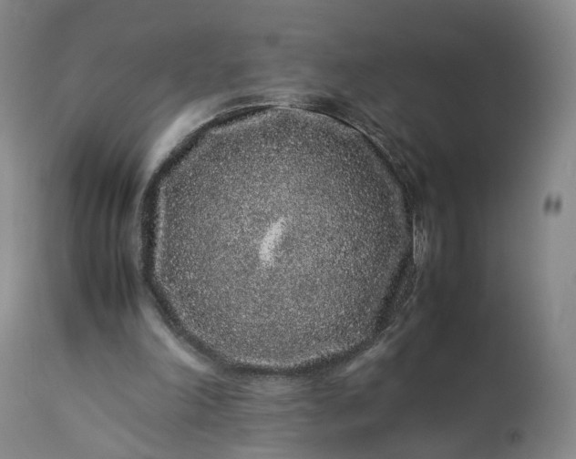 X0000113240198200909241554