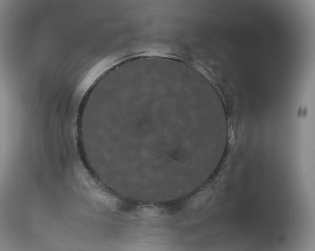 X0000113240199200909241554