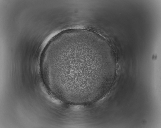 X0000113240200200909241554