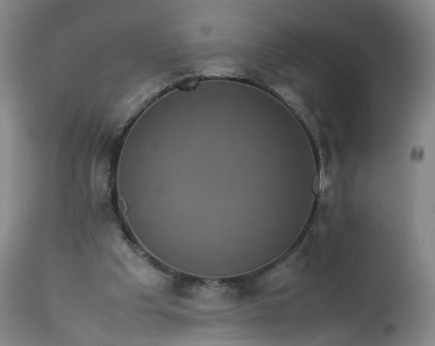 X0000113240201200909241554