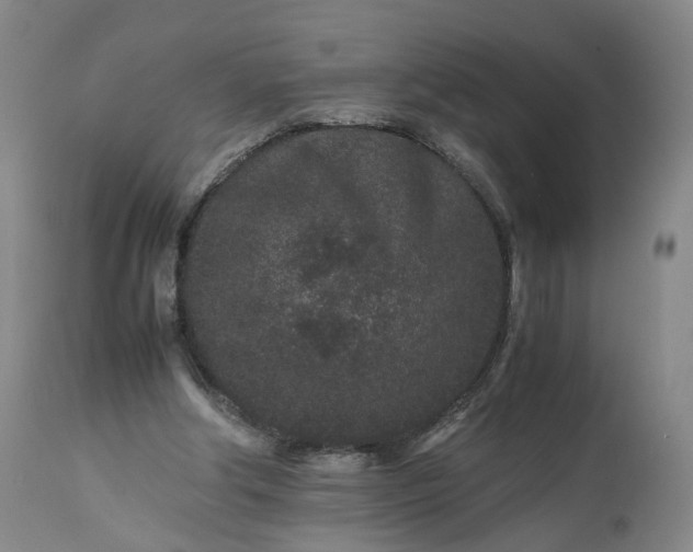 X0000113240202200909241554