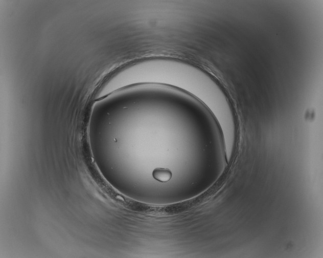 X0000113240203200909241554