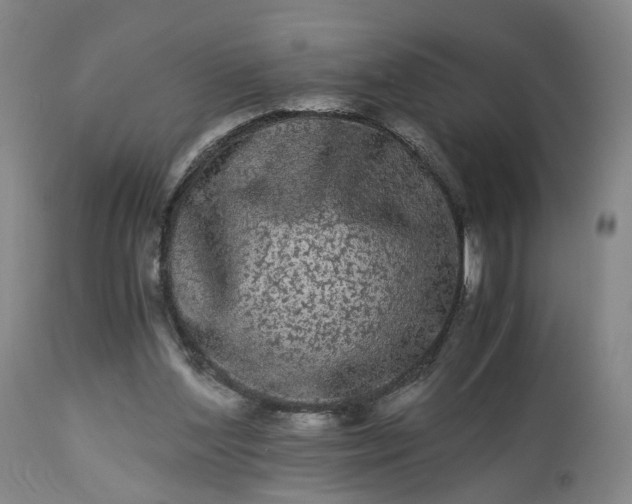 X0000113240204200909241554