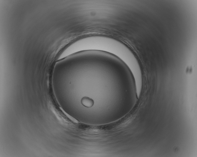 X0000113240205200909241554