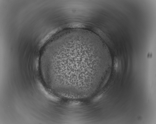 X0000113240206200909241554