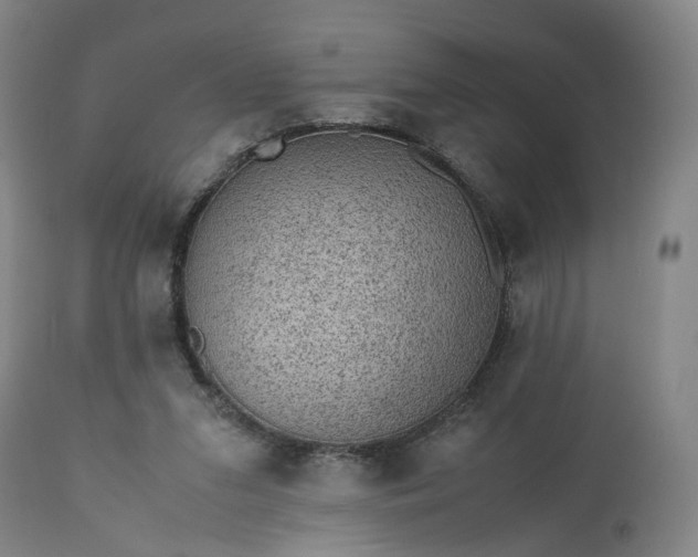 X0000113240207200909241554