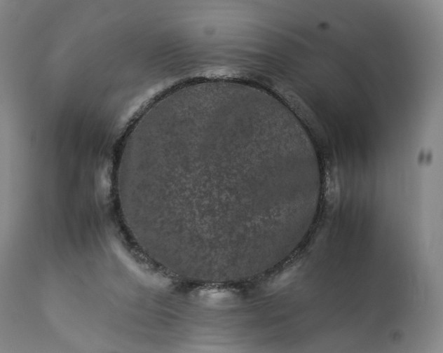 X0000113240208200909241554