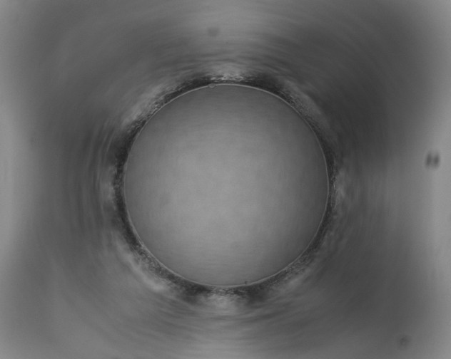 X0000113240209200909241554