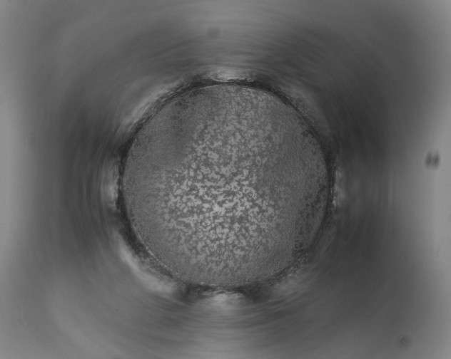 X0000113240210200909241554