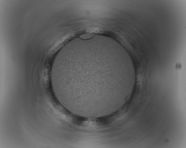 X0000113240211200909241554