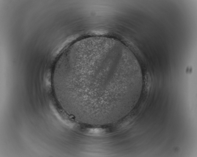 X0000113240212200909241554