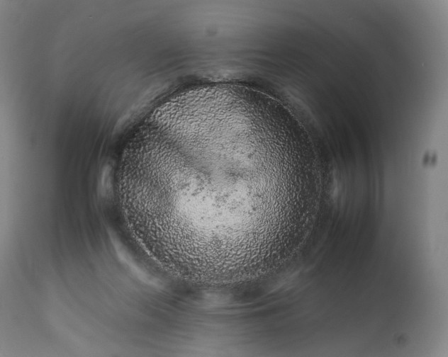 X0000113240214200909241554