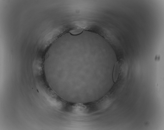 X0000113240215200909241554